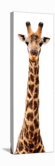 Safari Profile Collection - Giraffe White Edition IX-Philippe Hugonnard-Stretched Canvas