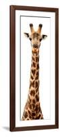 Safari Profile Collection - Giraffe White Edition IX-Philippe Hugonnard-Framed Photographic Print