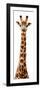 Safari Profile Collection - Giraffe White Edition IX-Philippe Hugonnard-Framed Photographic Print