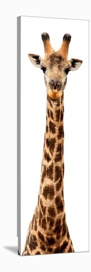 Safari Profile Collection - Giraffe White Edition IX-Philippe Hugonnard-Stretched Canvas