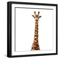 Safari Profile Collection - Giraffe White Edition V-Philippe Hugonnard-Framed Photographic Print