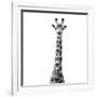 Safari Profile Collection - Giraffe White Edition VI-Philippe Hugonnard-Framed Photographic Print