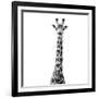 Safari Profile Collection - Giraffe White Edition VI-Philippe Hugonnard-Framed Photographic Print