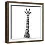Safari Profile Collection - Giraffe White Edition VI-Philippe Hugonnard-Framed Premium Photographic Print