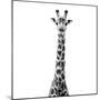 Safari Profile Collection - Giraffe White Edition VI-Philippe Hugonnard-Mounted Premium Photographic Print