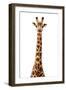 Safari Profile Collection - Giraffe White Edition VII-Philippe Hugonnard-Framed Photographic Print