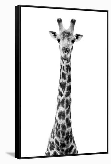 Safari Profile Collection - Giraffe White Edition VIII-Philippe Hugonnard-Framed Stretched Canvas