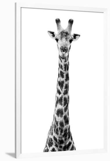 Safari Profile Collection - Giraffe White Edition VIII-Philippe Hugonnard-Framed Photographic Print