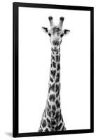 Safari Profile Collection - Giraffe White Edition VIII-Philippe Hugonnard-Framed Photographic Print