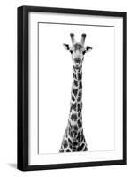 Safari Profile Collection - Giraffe White Edition VIII-Philippe Hugonnard-Framed Premium Photographic Print