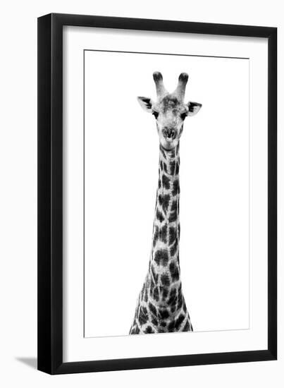 Safari Profile Collection - Giraffe White Edition VIII-Philippe Hugonnard-Framed Premium Photographic Print