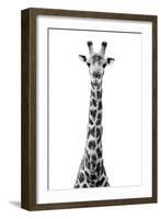 Safari Profile Collection - Giraffe White Edition VIII-Philippe Hugonnard-Framed Photographic Print