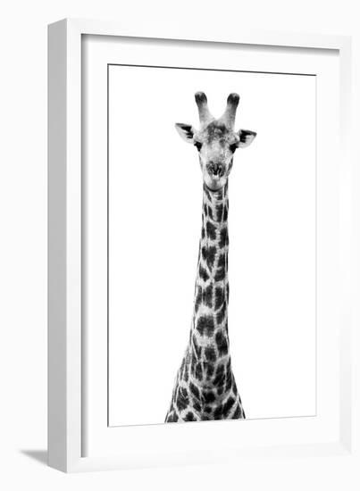 Safari Profile Collection - Giraffe White Edition VIII-Philippe Hugonnard-Framed Photographic Print