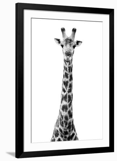 Safari Profile Collection - Giraffe White Edition VIII-Philippe Hugonnard-Framed Photographic Print