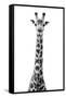 Safari Profile Collection - Giraffe White Edition VIII-Philippe Hugonnard-Framed Stretched Canvas