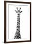 Safari Profile Collection - Giraffe White Edition VIII-Philippe Hugonnard-Framed Premium Photographic Print