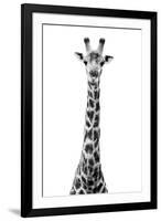 Safari Profile Collection - Giraffe White Edition VIII-Philippe Hugonnard-Framed Premium Photographic Print