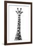 Safari Profile Collection - Giraffe White Edition VIII-Philippe Hugonnard-Framed Photographic Print