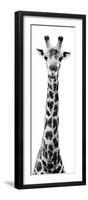 Safari Profile Collection - Giraffe White Edition X-Philippe Hugonnard-Framed Photographic Print