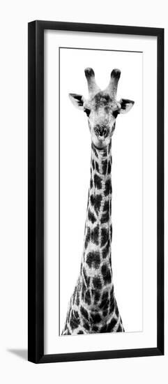 Safari Profile Collection - Giraffe White Edition X-Philippe Hugonnard-Framed Photographic Print