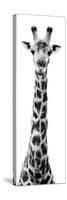 Safari Profile Collection - Giraffe White Edition X-Philippe Hugonnard-Stretched Canvas