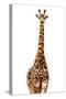 Safari Profile Collection - Giraffe White Edition-Philippe Hugonnard-Stretched Canvas