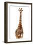 Safari Profile Collection - Giraffe White Edition-Philippe Hugonnard-Framed Photographic Print