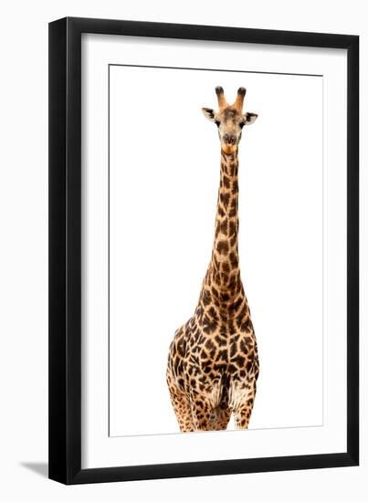 Safari Profile Collection - Giraffe White Edition-Philippe Hugonnard-Framed Photographic Print