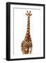 Safari Profile Collection - Giraffe White Edition-Philippe Hugonnard-Framed Photographic Print