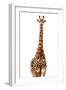 Safari Profile Collection - Giraffe White Edition-Philippe Hugonnard-Framed Photographic Print