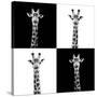 Safari Profile Collection - Giraffes II-Philippe Hugonnard-Stretched Canvas