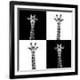 Safari Profile Collection - Giraffes II-Philippe Hugonnard-Framed Photographic Print