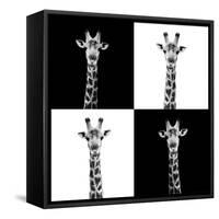 Safari Profile Collection - Giraffes II-Philippe Hugonnard-Framed Stretched Canvas