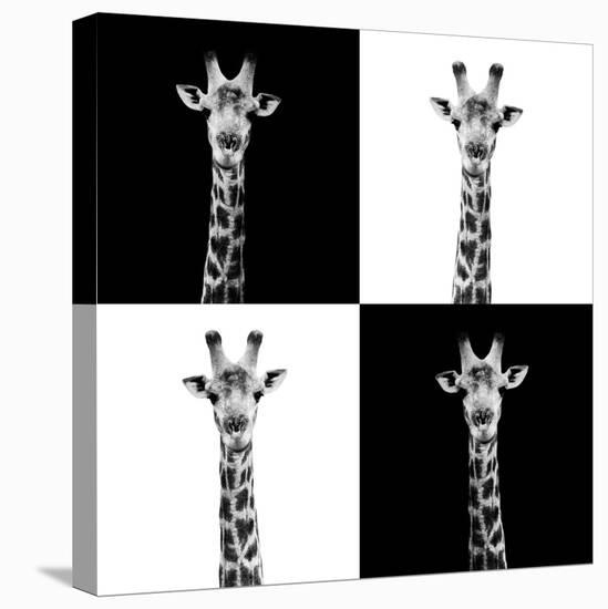 Safari Profile Collection - Giraffes II-Philippe Hugonnard-Stretched Canvas