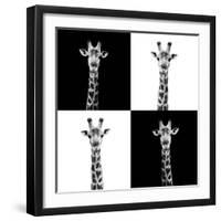 Safari Profile Collection - Giraffes II-Philippe Hugonnard-Framed Premium Photographic Print