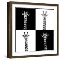 Safari Profile Collection - Giraffes II-Philippe Hugonnard-Framed Photographic Print
