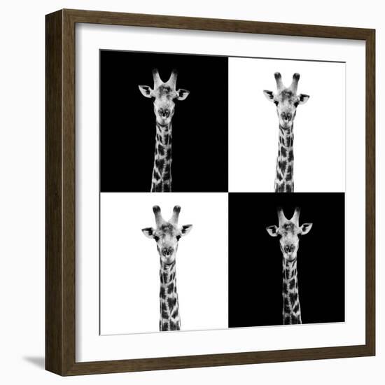 Safari Profile Collection - Giraffes II-Philippe Hugonnard-Framed Photographic Print