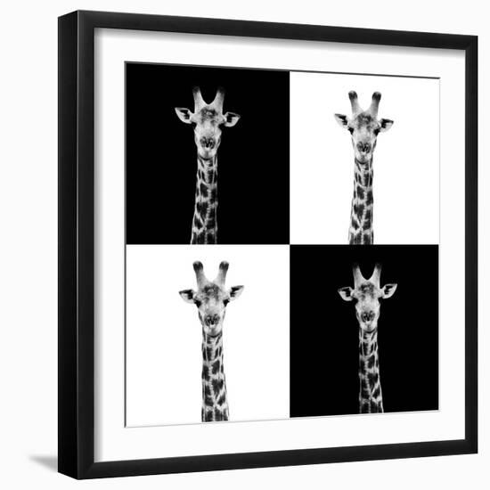 Safari Profile Collection - Giraffes II-Philippe Hugonnard-Framed Photographic Print