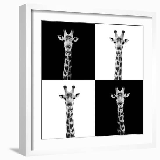 Safari Profile Collection - Giraffes II-Philippe Hugonnard-Framed Photographic Print