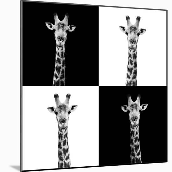 Safari Profile Collection - Giraffes II-Philippe Hugonnard-Mounted Photographic Print