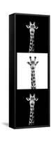 Safari Profile Collection - Giraffes III-Philippe Hugonnard-Framed Stretched Canvas