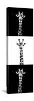 Safari Profile Collection - Giraffes III-Philippe Hugonnard-Stretched Canvas