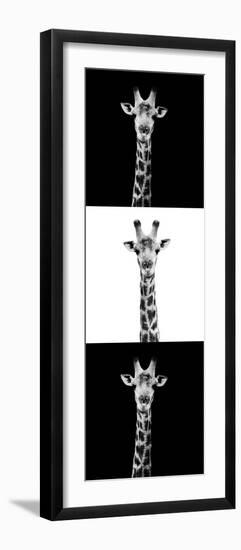 Safari Profile Collection - Giraffes III-Philippe Hugonnard-Framed Photographic Print