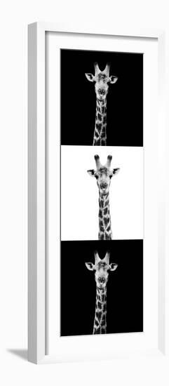 Safari Profile Collection - Giraffes III-Philippe Hugonnard-Framed Photographic Print