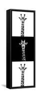 Safari Profile Collection - Giraffes IV-Philippe Hugonnard-Framed Stretched Canvas