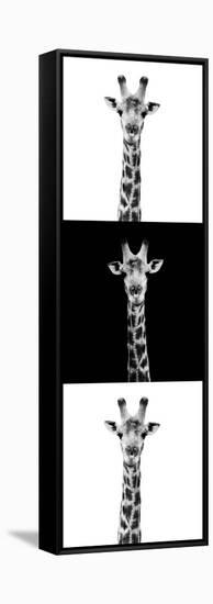 Safari Profile Collection - Giraffes IV-Philippe Hugonnard-Framed Stretched Canvas