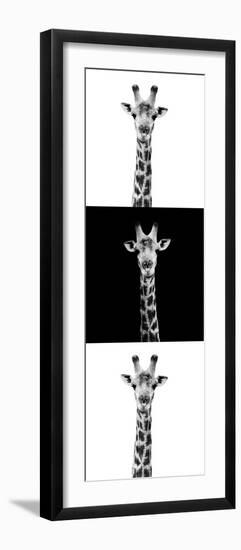 Safari Profile Collection - Giraffes IV-Philippe Hugonnard-Framed Photographic Print