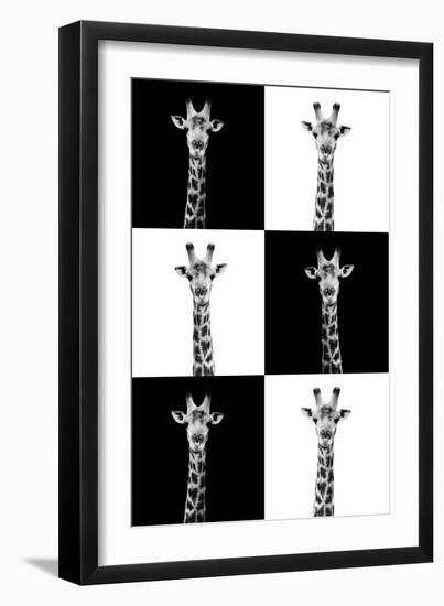 Safari Profile Collection - Giraffes-Philippe Hugonnard-Framed Photographic Print