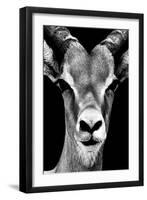 Safari Profile Collection - Portrait of Antelope Black Edition-Philippe Hugonnard-Framed Premium Photographic Print