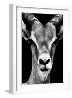 Safari Profile Collection - Portrait of Antelope Black Edition-Philippe Hugonnard-Framed Photographic Print